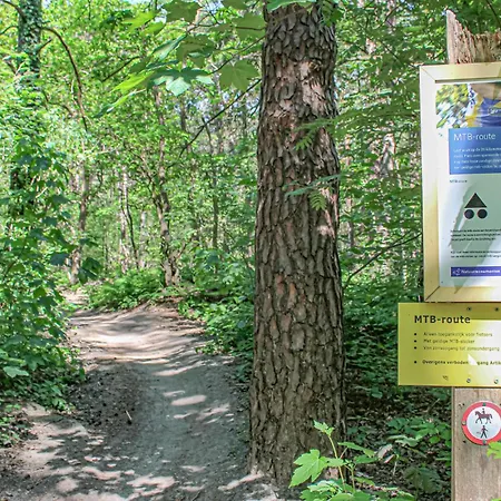 Awesome In With Wifi *