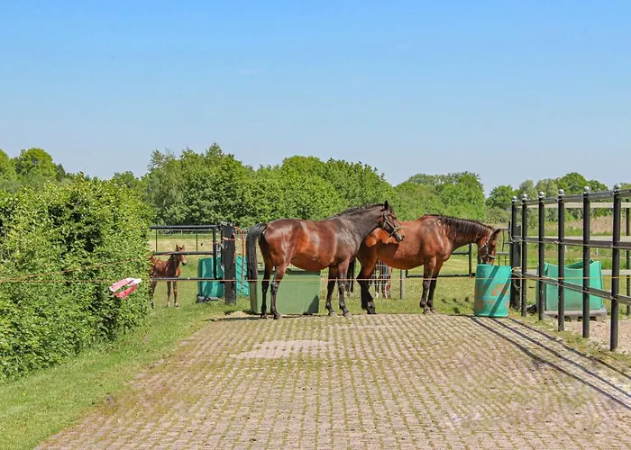 Awesome In With Wifi Udenhout