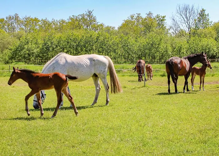 Semesterbostad Awesome In With Wifi *