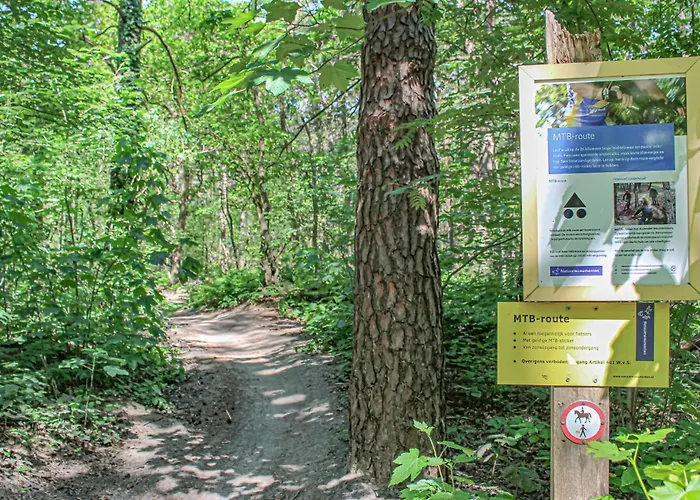 Awesome In With Wifi *