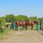 Awesome In With Wifi Udenhout