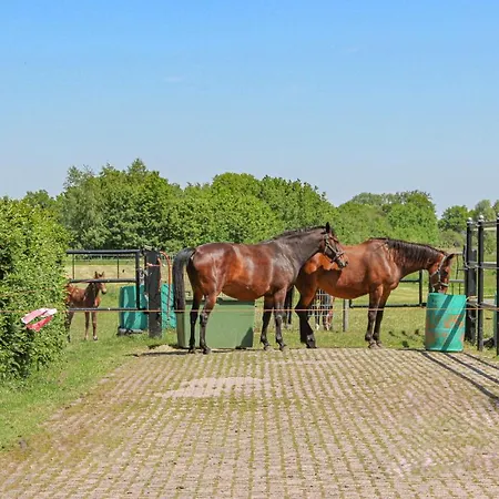 Awesome In With Wifi Udenhout