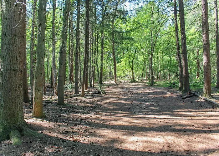 Awesome In With Wifi