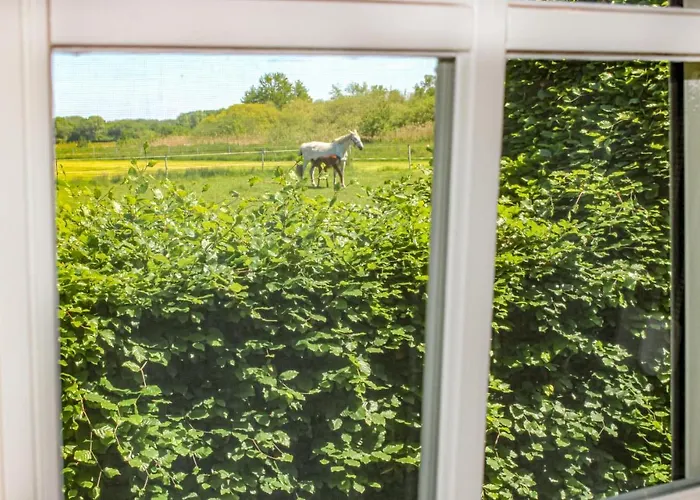 Awesome In With Wifi Nyaraló